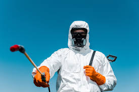 Best Seasonal Pest Control  in Bridgetown, MS